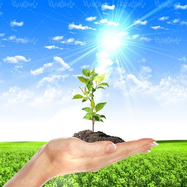 دانلود رایگان عکس روز درختکاری