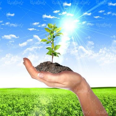 تصویر با کیفیت روز درختکاری