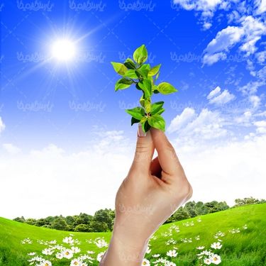عکس با کیفیت روز درختکاری