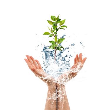 عکس با کیفیت روز درخت کاری
