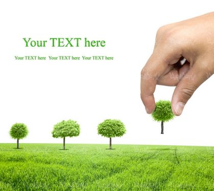 عکس با کیفیت روز درخت کاری