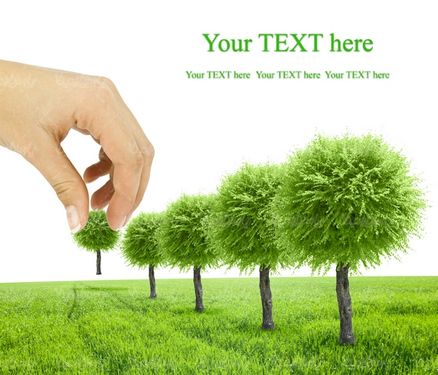 عکس با کیفیت روز درخت کاری