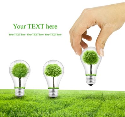 عکس با کیفیت روز درخت کاری
