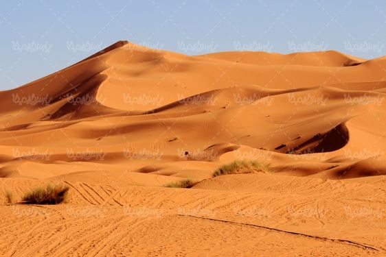 صحرای آفریقا
