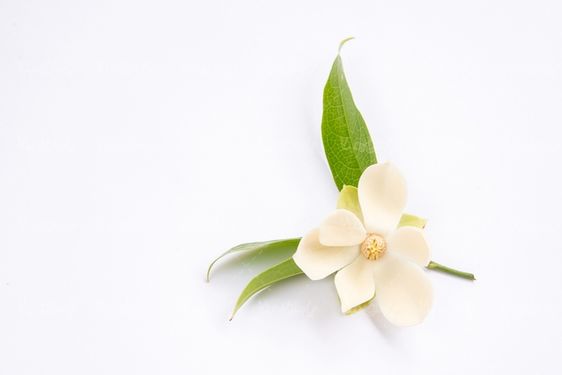 گلفروشی