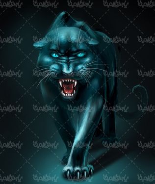 گربه وحشی