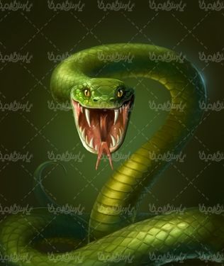 مار