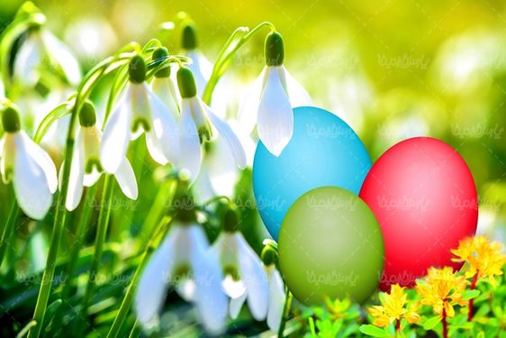 دانلود رایگان عکس تخم مرغ عید نوروز