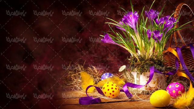 دانلود رایگان عکس تخم مرغ عید نوروز
