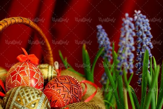 دانلود رایگان عکس تخم مرغ عید نوروز