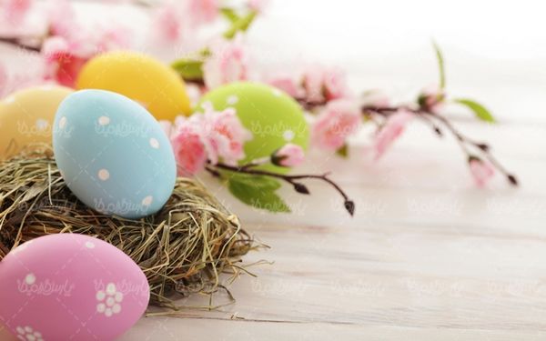 دانلود رایگان عکس تخم مرغ عید نوروز