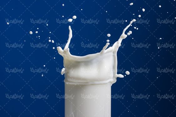 تصویر با کیفیت شیر گاو