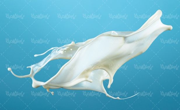 تصویر با کیفیت شیر گاو