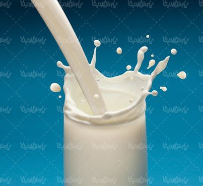 تصویر با کیفیت شیر گاو