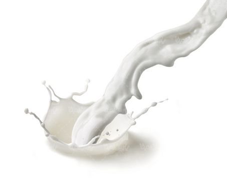 cow milk