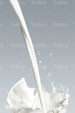 cow milk