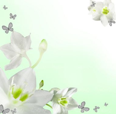 گل طبیعی