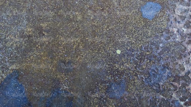 Free texture