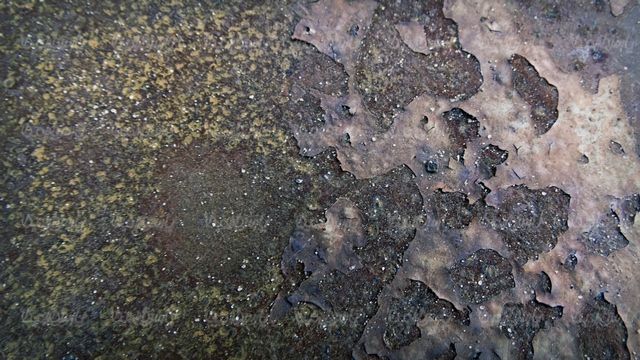 Free texture
