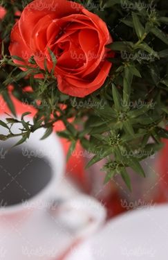 گل رز مصنوعی