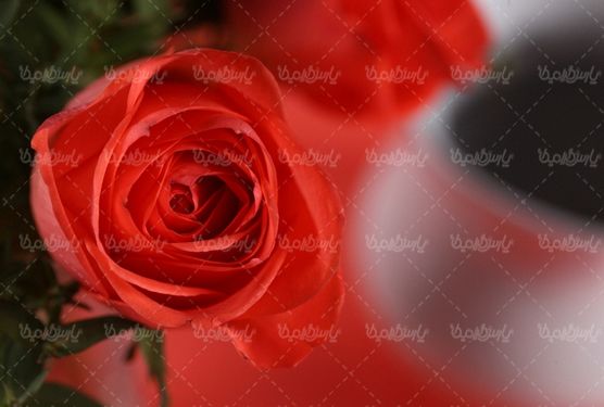 گل رز مصنوعی