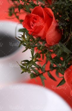 تصویر با کیفیت گل رز مصنوعی