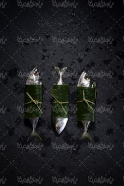 ماهی