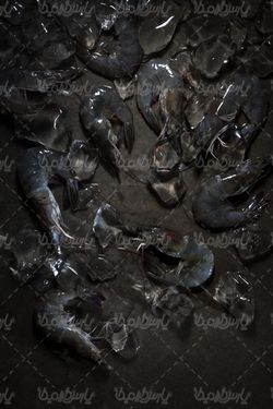 پروتئینی