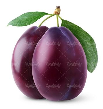 آلو سیاه