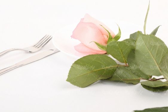 گل رز