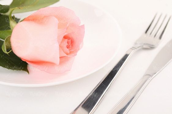 گل رز
