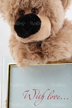 Teddy bear