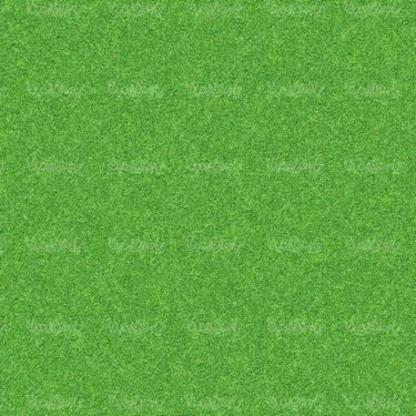 Grass background