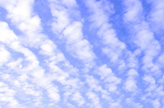 Free texture