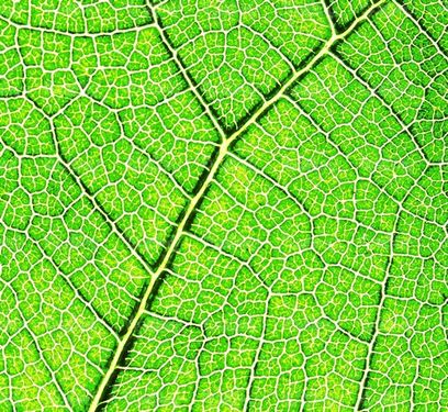 Free texture