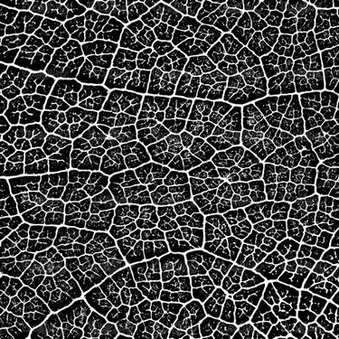 Free texture