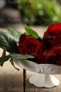 گل رز قرمز