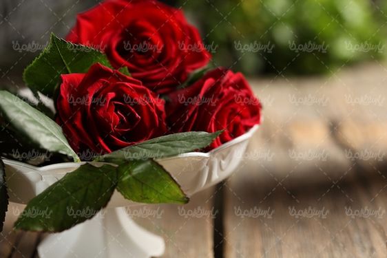 گل رز قرمز