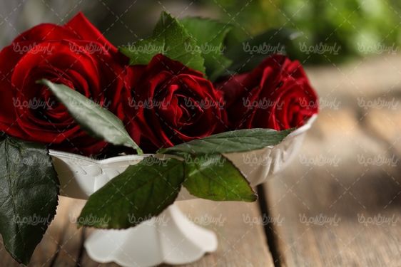 Red rose