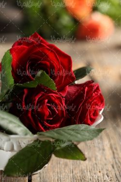 Red rose