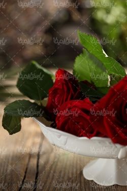 عکس با کیفیت گل رز