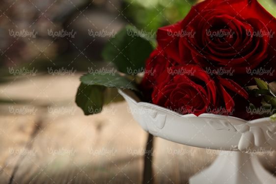عکس با کیفیت گل رز