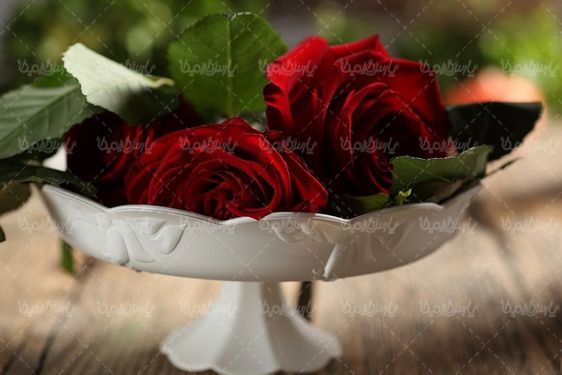 عکس با کیفیت گل رز
