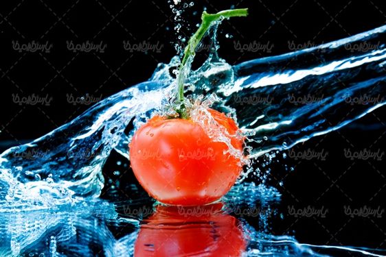 گوجه فرنگی