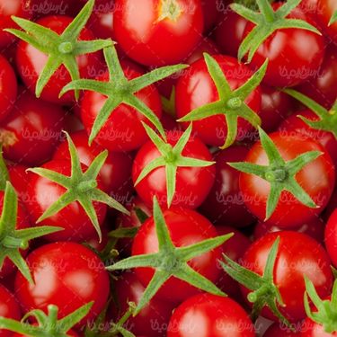 عکس گوجه فرنگی