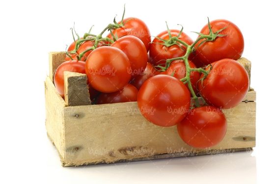 گوجه فرنگی