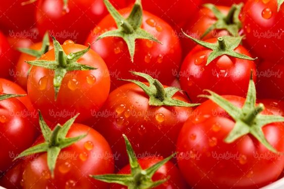 دانلود عکس گوجه فرنگی