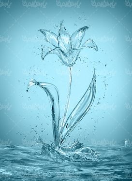 گل آبی