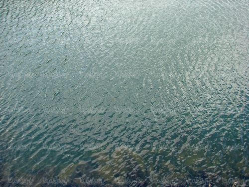 Water background
