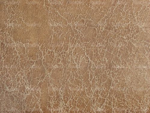 Leather texture